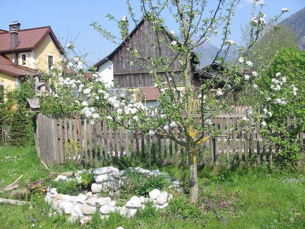 Ferienwohnung Am Pflanzgarten Ебензее Екстериор снимка