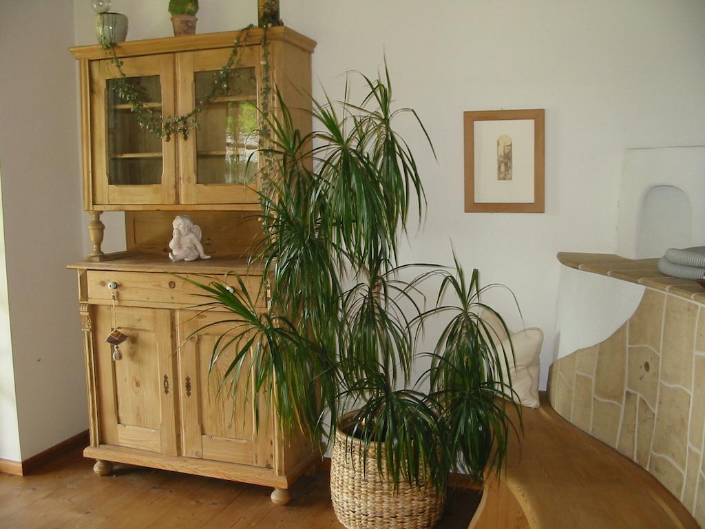 Ferienwohnung Am Pflanzgarten Ебензее Стая снимка